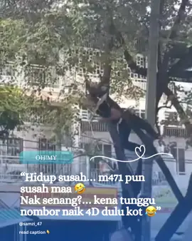 “Hidup susah… nak bayar bil susah, nak isi minyak pun susah 😅 M471 pun susah… nak gali kubur pun kena bayar, nak kenduri pun kena keluar duit 🥲 Pendek kata… hidup pun pening, m471 pun pening maa 🤣 Kalau nak senang… mungkin dalam mimpi je, itu pun kadang mimpi buruk!”. “Hidup susah… m471  pun susah 😔 Tapi kalau kita redha… insyaAllah hati jadi tenang.” #malaysia #foryou #fyp #lawak #funny 