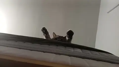 🤣🤣🤣