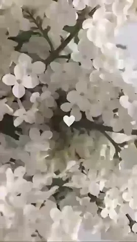 Дето