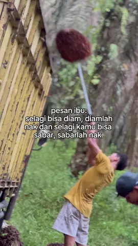 #fypシ゚#viraltiktok 