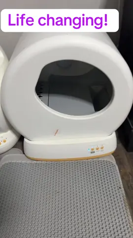 Game changer! #litterbox #litterboxcleaning #selfcleaninglitterbox 