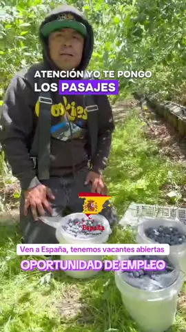 Oportunidad de empleo única en España 🇪🇸 #españa #chile #argentina #buenosaires #trabajo 