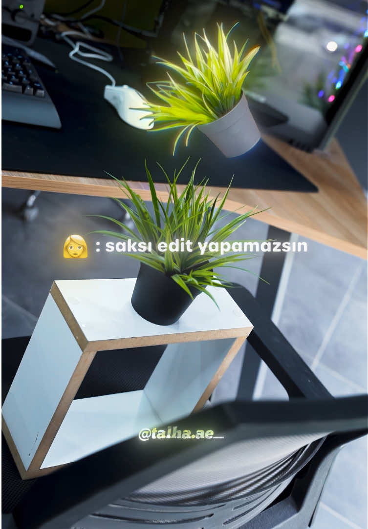 saksıedit.mp4 #aftereffects #edit #saksı #edits #hakkıalkan 