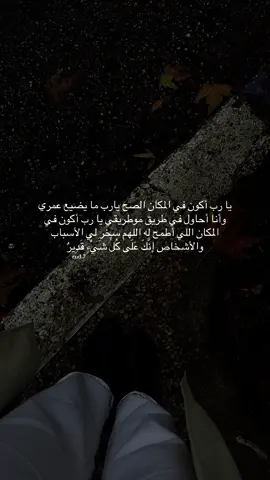#EmClimaUltraLeve #اكسبلور #ramallah #viral #fypシ 