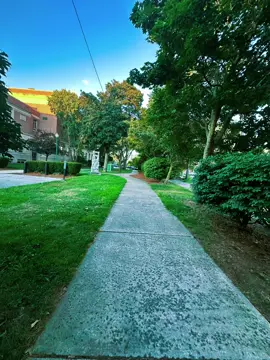 #CapCut 