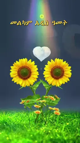 #ethiopia_ortodox_tewahido✝️❤ ##ኦርቶዶክስ_ተዋህዶ_ፀንታ_ለዘለዓለም_ትኑር #አዲስአመት🌼🌼🌼እንኳንአደረሳችሁ 