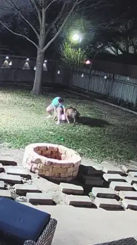 Wow where do I begin? I didn’t give up on Riley when that would have been the easiest way out, but trust me part of me wanted to. So many people give up when their foster dogs are challenging but I knew she deserved better. She deserved a chance to prove everyone wrong.  It feels like another lifetime rewatching this footage. Riley has made a complete 180 and I am so utterly proud 🥲🥹. I’m grateful that we’ve gotten here (not without blood, sweat & lots of tears).  I truly understood what community meant by the way people have shown up for Riley and I.  You guys came through in advocating for us, donating money for training, sending wish list items, words of encouragement.  Being single and having 2 personal dogs that I had to keep separate for months was so stressful. So many of you showed up and came over to help me walk Riley with the boys to try and build a bond. When that got too much @curbedbehaviors behaviors stepped in and worked their magic 🫶🏼 She came home from her board & train with a better understanding that she could feel safe around other dogs and how to work on her impulse control. We have worked daily/weekly since day 1 to try and help set her up for success. I’ve learned SO much about training and dog behavior over our 7 months together. She teaches me every day.  Every time I see her meeting a new dog and doing great I’m just so thankful that we were able to get to that place, because I know so many other dogs/guardians are never able to.  Riley was not socialized with dogs or environments/sounds/people before I got her and watching her grow has been one of the greatest honors of my life. She’s gonna be tough to let go of for sure.  Riley is still available for adoption across the US. DM me if you need some Riley in your life 💖 Shout outs: @teddyandjerry.thebullybros @pedroandfriendshtx @woofgangv @skylinepetcare @sydney_ru @woofgangv @stephmatelli @kevin_rosselet13 @aliciarapini @htxdogmom @_ashley.valencia @opalsmother thank you for giving us your valuable time, you’re been pivotal in Riley’s success ♥️ Special shoutout: Tigey for being the most steadfast, patient, perfect foster brother 😭