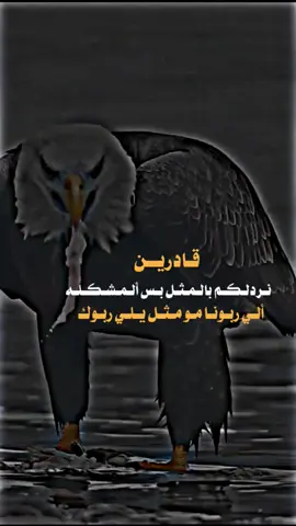 #اكسبلور #تصميم_فيديوهات🎶🎤🎬 