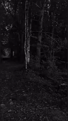 Billie Eilish 🥀🎧 Lovely Welcome Home  #aesthetic #nature #forest #dark #vibes #edit #real #song #lovely #billieeilish #typ #foryou #foryoupage #paratiiiiiiiiiiiiiiiiiiiiiiiiiiiiiii 