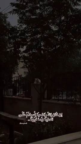 اللهم رضاك وسلامٌ على الدنيا ومن فيها..🤎