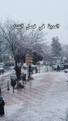 #المدية_والمديـــة_والمدية💪💪 #بنت_المدية 