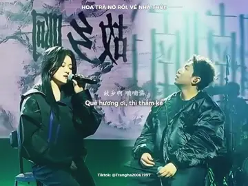｜HOA TRA NO ROI｜“一朵一朵地摘下说是给我买理想，————“ #茶花开了 #hoatranoroi #nhactrungquoc #giamoc #viral 