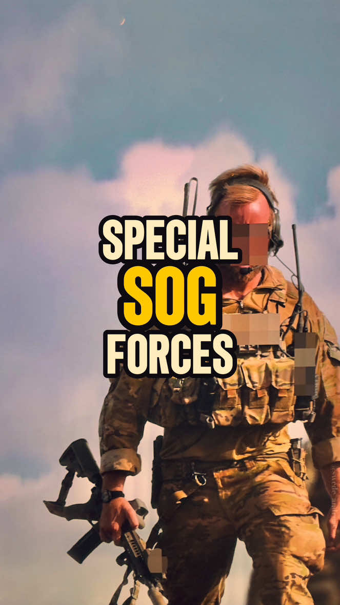 Who are the Swedish SOG?🎖️ #sweden #sog #specialforces #military #sas 