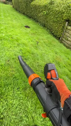 I had my doubt’s #stihlbga300 Vs #molehill so much easier than shoveling 😁 #stihl #stihlbatterypower #gardening #horsepaddock 