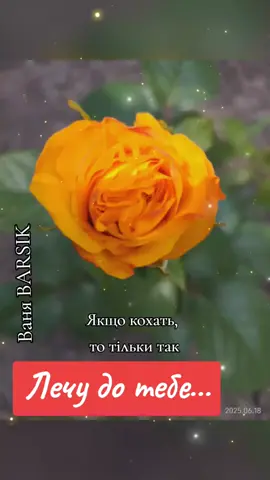 #Тікток Україна  #Ваня BARSIK 