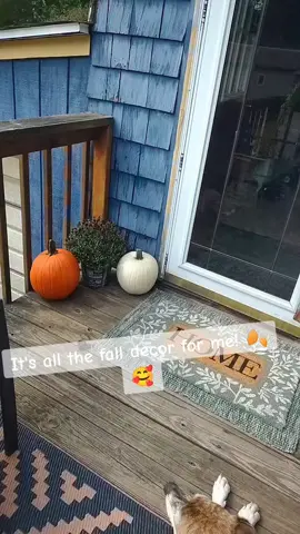 HAPPY SEPTEMBER! 🍂🥰 Fall decor is the Best decor!! 🌿 #happyfall #fyp #fmp #fall #fypage 