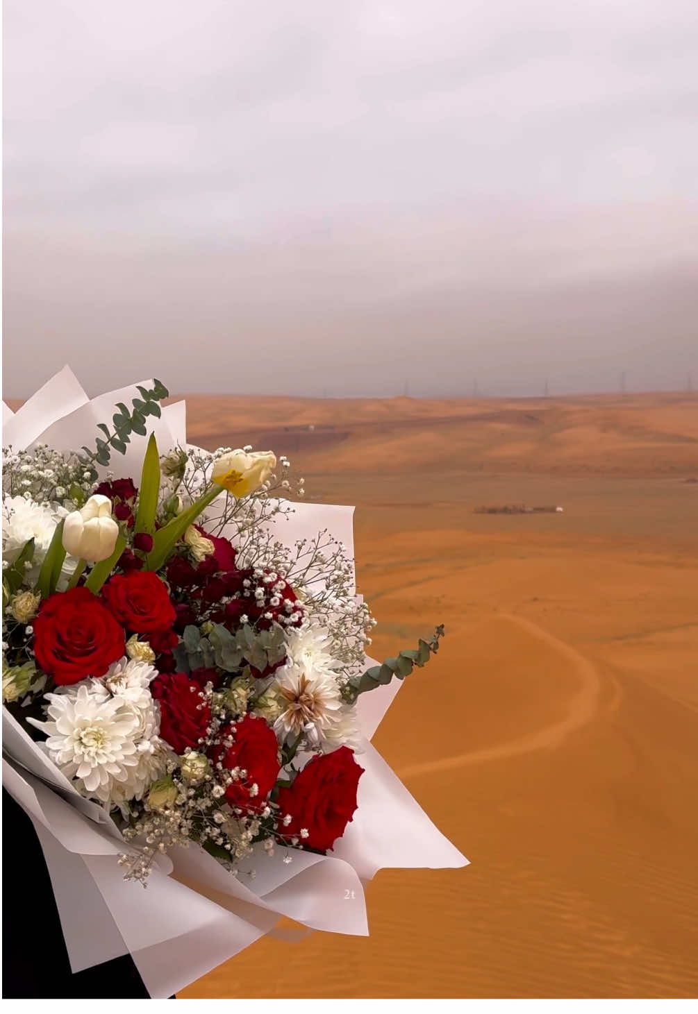 عليها سلام حرّ شوق وغلا وجلال                                               #الشتاء #امطار #نفود #بدون_موسيقي #بندر_بن_عوير 
