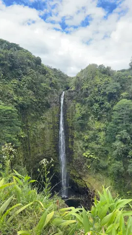 Waterfall… #fyp #trending #nature 