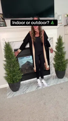 These trees are so beautiful indoor or out! #greenery #fauxtree #porchdecor #holiday2025 #fakeplastictrees 