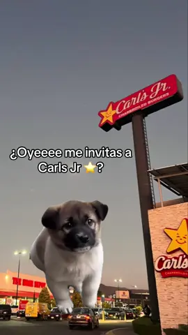 Nunca es mal día para una burger  #invitame #CapCut #porfis #carlsjr #hamburguesa 