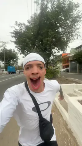 essa é pedrada #correr #galinha #galinhapintadinha #musica #meme 