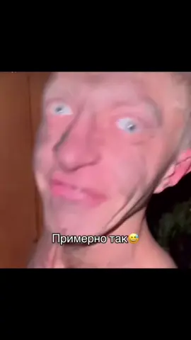 Так и ездим😂 #василич#тонировка 