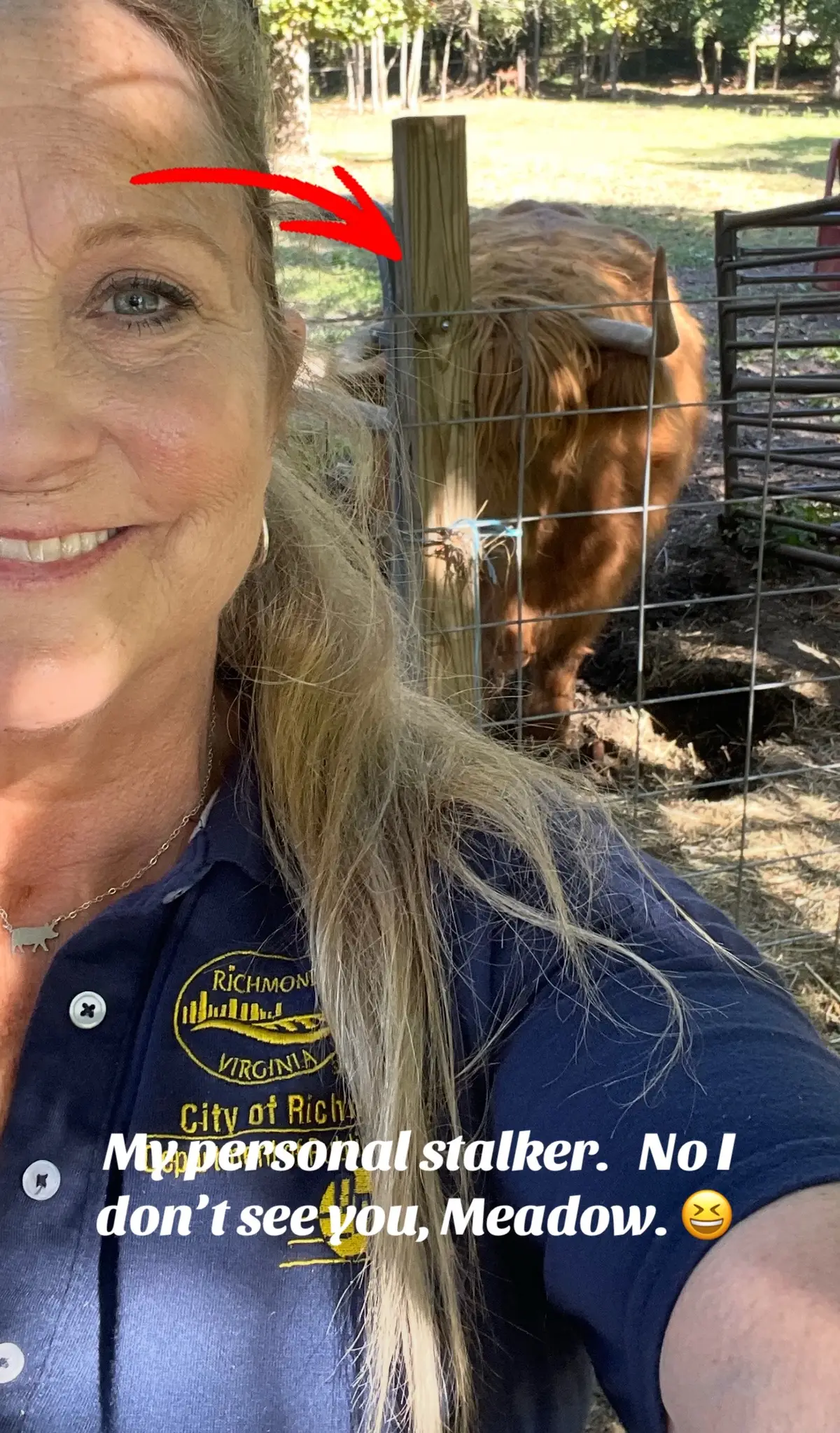 I’ll probably die alone with my cow stalking me. 😆 #spoiled #cow 
