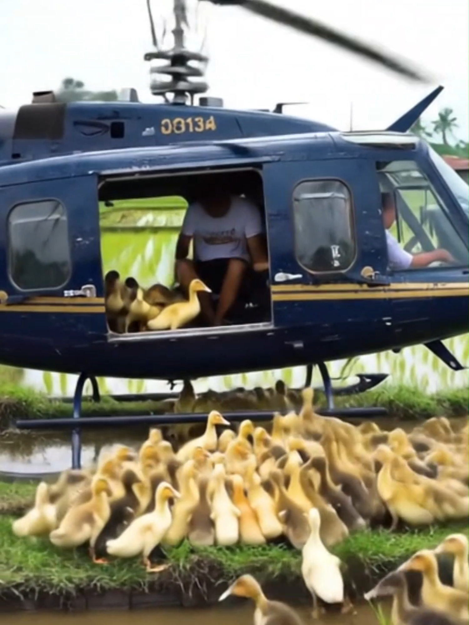 The real sultan turun ke sawah #realsultan #ngakak #viralvideo #masukberanda #fypツ