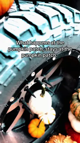 #fall #pumpkinspiceseason #pumpkinseason #fallyall