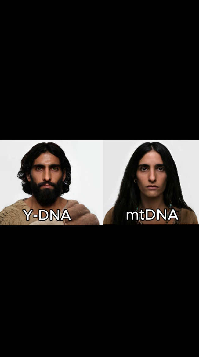 Educational Content ⚠️ #anthropology #phenotype #dna #genetics #fyp 