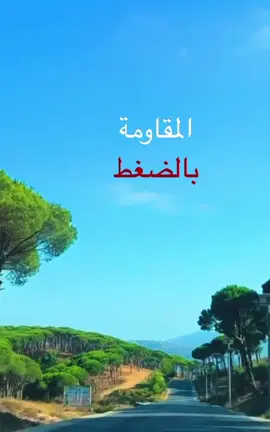 جيش شعب مقاومة✌️✌️ #الضاحية_الجنوبية #libanon2020 #لبنان🇱🇧 #بيروت_لبنان🇱🇧 