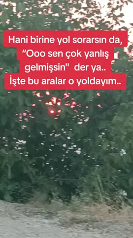 #keşfet #kesfededus #kesfetbeniöneçıkart #fyp #fypシ 