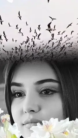 #capcutvelocity #tik_tok #tiktok #🥺🖤🥀ــــــــــــــہہہـ٨ـــ٨ـ💔 