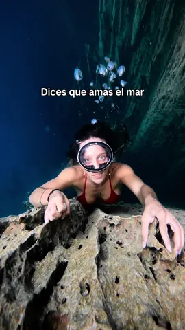 No tocar #mar #viral #oceano #tiktokespaña #miedo #snorkeling 