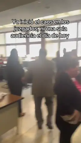 Así el nuevo poder judicial…los hijos del acordeón 🪗🥹🤣 #poderjudicial #supremacorte #elecciónjudicial #juecescorruptos #méxico 