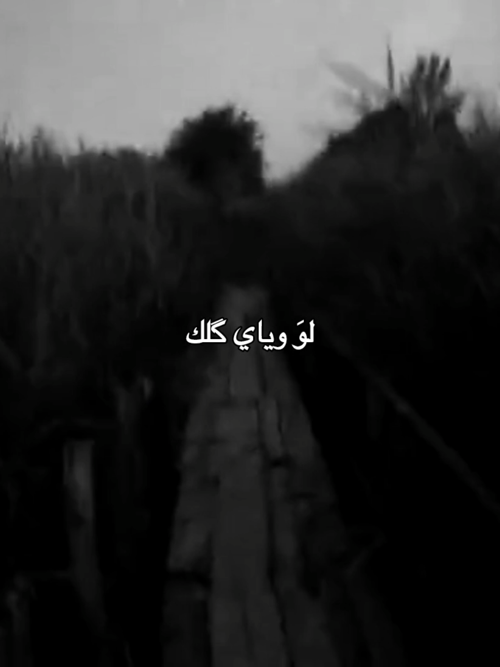 #foryoupage #شعر 