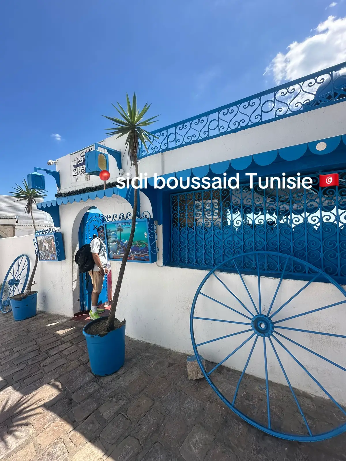 💙🏝️ “Perdue entre ciel et mer, Sidi Bou Saïd m’a envoûtée avec ses ruelles bleues et blanches, ses portes fleuries et ses vues à couper le souffle… un vrai tableau méditerranéen.” 🌸✨ #S#SidiBouSaidT#TunisieB#BlueAndWhiteParadiseT#TravelTunisiaV#VisitTunisiaM#MediterraneanVibesB#BeautifulDestinationsH#HiddenGemW#WondersOfTunisiaT#TravelVibesS#SeaViewB#BlueAndWhiteT#TunisiaTripE#ExploreTunisiaV#VacationVibesM#MediterraneanEscapeM#MagicalTunisiaV#VoyageTunisieS#SidiBouSaidVibesTunisiaBeauty
