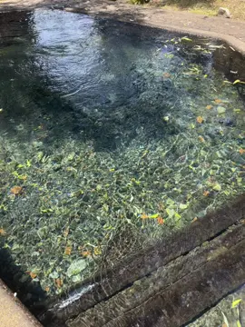 Naturaleza 💦#LIVEIncentiveProgram #SideHustleLIVE #PaidPartnership 