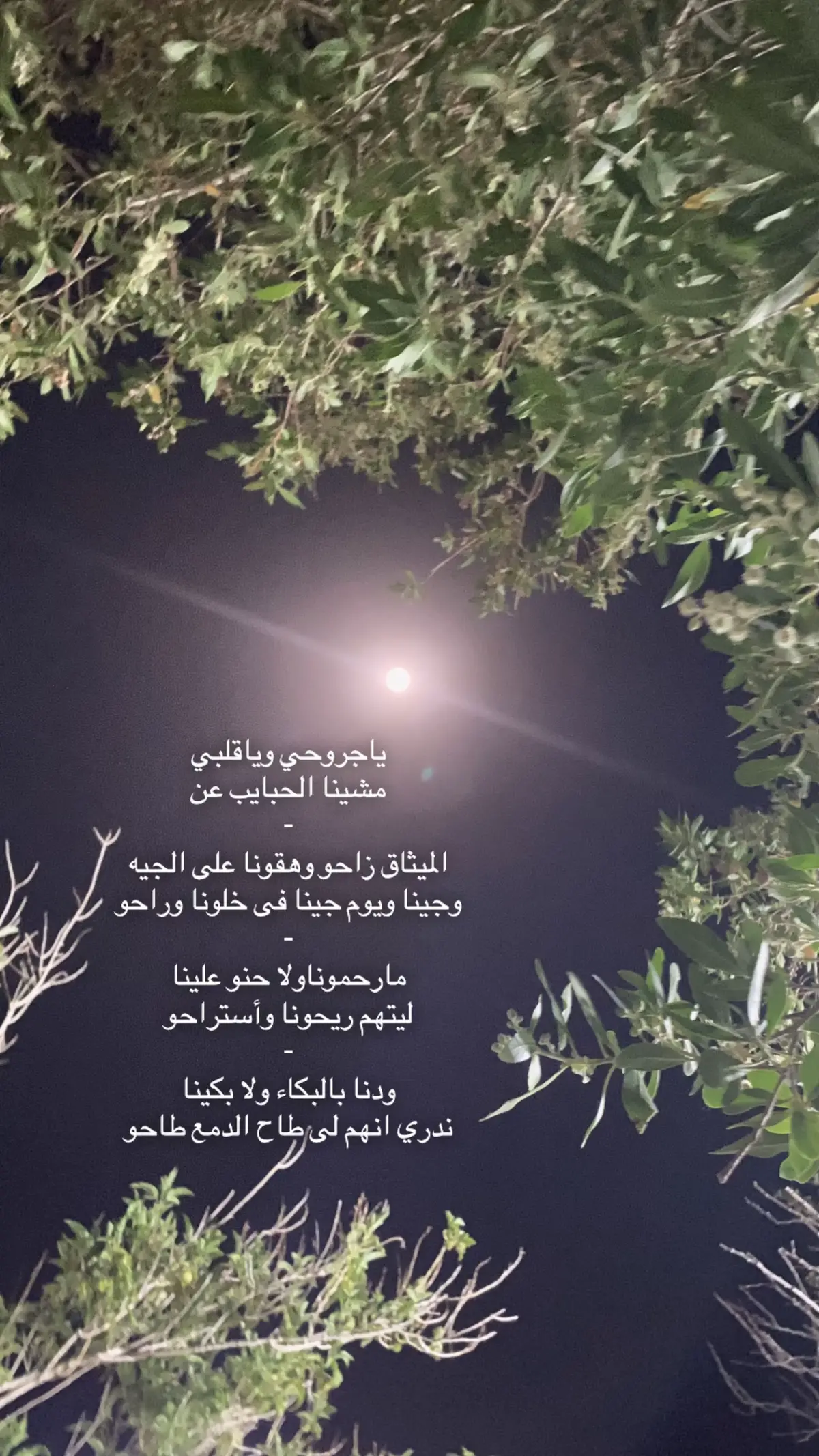 #المدينه_المنوره_الان #ياجروحي #وياقلبي #مشينا🚶🏻