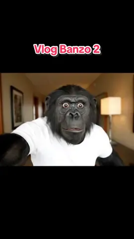 Restes jusqu’à la fin tu vas rire !                      #veo3 #fyp #ia #funnytiktok #singe 