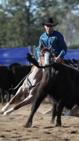 Howl At The Boon #aqha #equinevideography #equinemarketing #josieperrettcreative #fyp 
