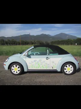 #volkswagenbug #volkswagon #fypシ #forupage #fyppppppppppppppppppppppp 