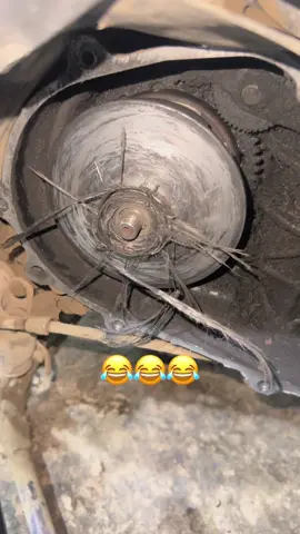 #صوفي_عطلات_ماكس 