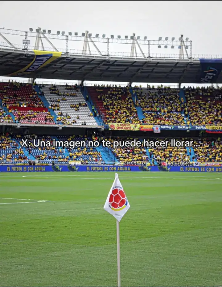 #xyzbca #contenido #colombia #james #viral 