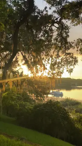 Coastal Savannah, Georgia couldn’t be any prettier this time of year ❤️✨