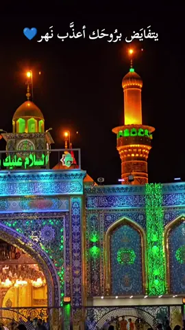 يتفايض بروحك اعذب نهر #باسم_الكربلائي #ماحسبت_هالكثر #كربلاء #الامام_العباس_عليه_السلام #يوم_السبت_باسم_ابي_فضل_العباس_ع 