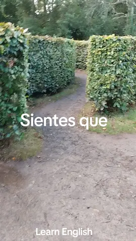 Aprender inglés a veces es como estar en un laberinto, no sabes que camino tomar... te preguntas si debes estudiar gramática, aprender una lista de verbos o hablar para conseguir fluidez. Pero no te preocupes porque te puedo ayudar a encontrar la manera, siempre hay salida. Sígueme y te cuento como.  #learnenglish #aprendeingles #englishteacher #neurolanguagecoach #fyp 