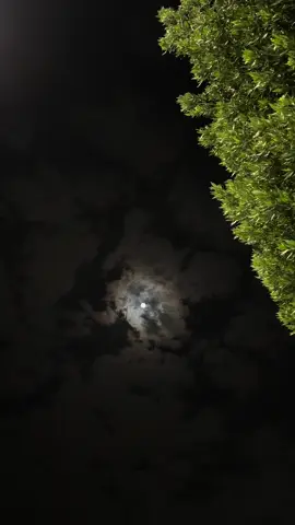 #اكسبلور#ليلة_قمر❤️