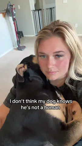 He’s such a baby #fyp #dogs #bulldogsoftiktok #viral #dogsoftiktok 