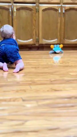 The absolute best pass time toy for your kiddos! We love it 🦀 #toys #tiktokshop #momssupportingmoms #sahm #toyreview 